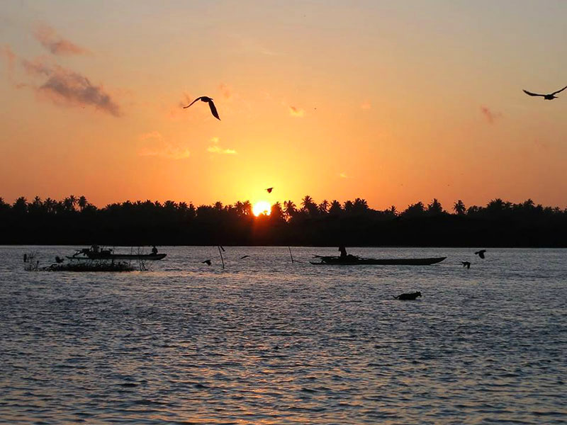 Hamilton canal Boat Tours, Boat Tours in Hamilton Canal, Boat Trips in Hamilt Canal, Hamilton Canal Boat Trips, Boat Trips in Hamilton Canal, Negombo hamilton Canal Boat Tours, Negombo Boat Tours, Boat Tours in Hamilton Canal