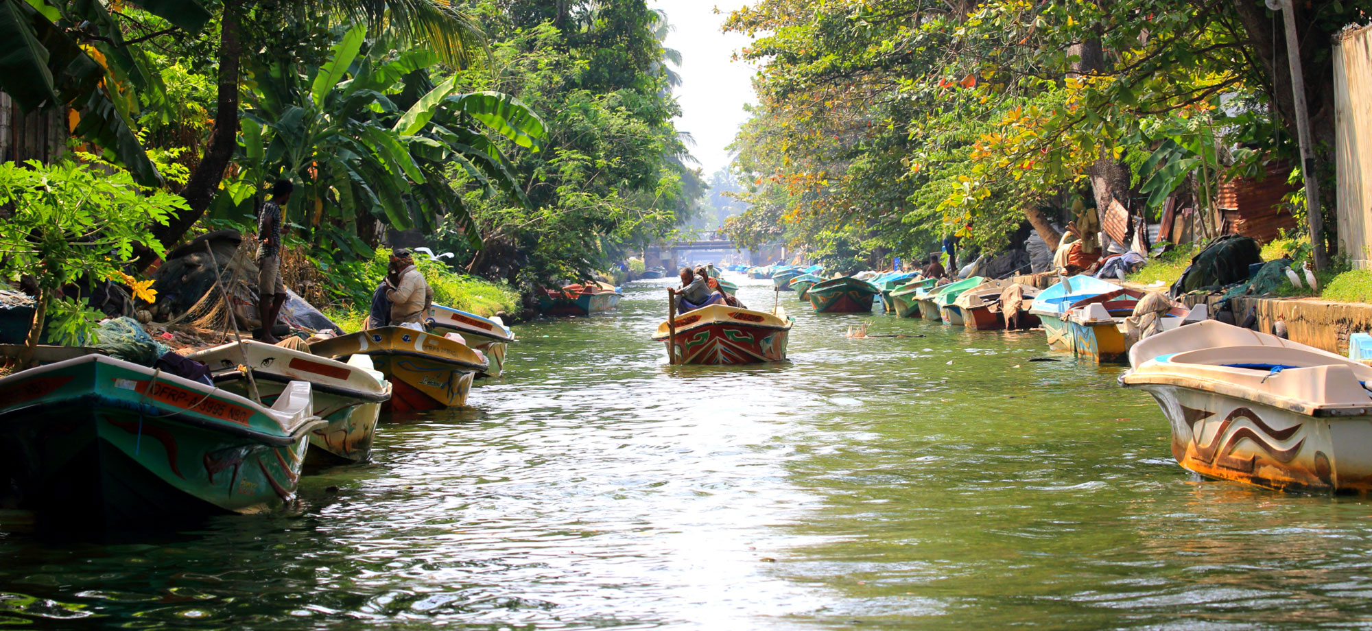 Negombo Lagoon Boat Tour, Sri lanka Boat tours, Negombo lagoon boat tours in Sri Lanka, River cruises in Negombo Sri Lanka, River activities in Negombo, Morning Lagoon Boat Tour