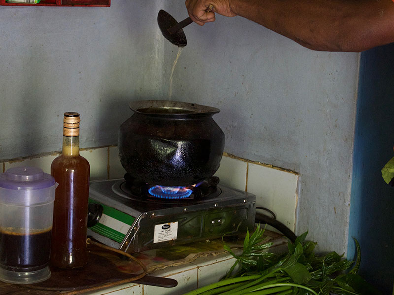 Staying in Sri Lanka - Staying with a Local Family in a Homestay in Sri Lanka - Sri Lanka Staying with a Local Family in a Homestay - Sri Lanka Homestay Experience - Stay in Sri Lanka Local Family