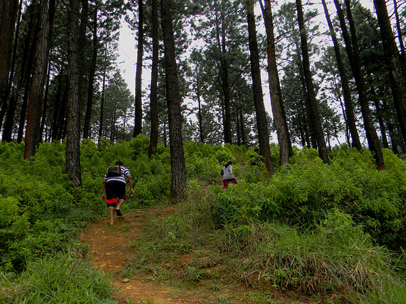 Trekking tours in Pussellawa - Pussellawa Trekking Trips - Pussellawa Mountains Trekking Tours - Trekking Trips in Pussellawa - Pussellawa trekking tours - Sri Lanka Trekking Trips - Trekking Trips in Sri Lanka