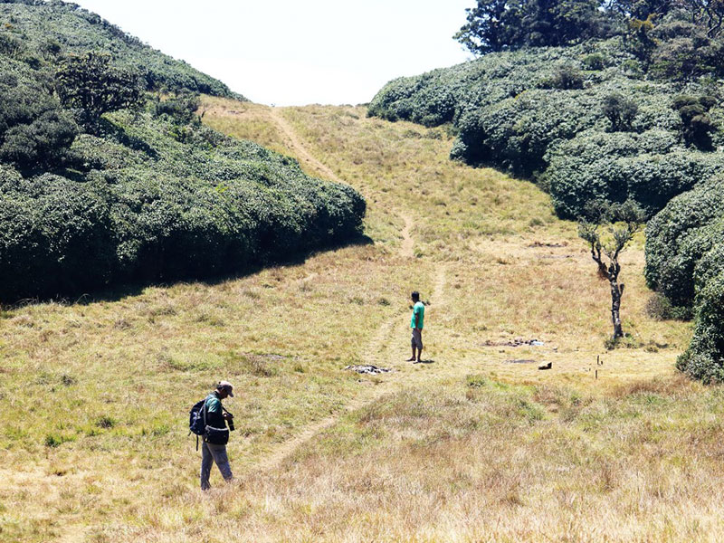 Trekking tours in Pussellawa - Pussellawa Trekking Trips - Pussellawa Mountains Trekking Tours - Trekking Trips in Pussellawa - Pussellawa trekking tours - Sri Lanka Trekking Trips - Trekking Trips in Sri Lanka