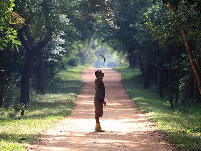 Village Tours in Sigiriya, Sigiriya and Habarana rural village walks, Village walks in Rural Villages, Village Tours in Sri Lanka, Walking tours in Sigiriya, Sigiriya Village Tours, Rural Village walking tours in Sigiriya and Habarana