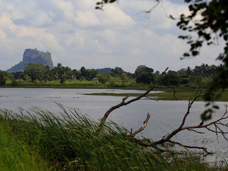 Village Tours in Sigiriya, Sigiriya and Habarana rural village walks, Village walks in Rural Villages, Village Tours in Sri Lanka, Walking tours in Sigiriya, Sigiriya Village Tours, Rural Village walking tours in Sigiriya and Habarana