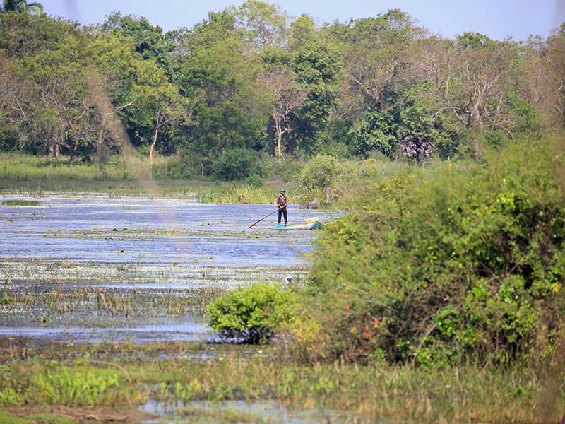 Village Tours in Sigiriya, Sigiriya and Habarana rural village walks, Village walks in Rural Villages, Village Tours in Sri Lanka, Walking tours in Sigiriya, Sigiriya Village Tours, Rural Village walking tours in Sigiriya and Habarana