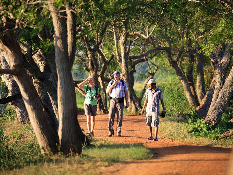 Village Tours in Sigiriya, Sigiriya and Habarana rural village walks, Village walks in Rural Villages, Village Tours in Sri Lanka, Walking tours in Sigiriya, Sigiriya Village Tours, Rural Village walking tours in Sigiriya and Habarana