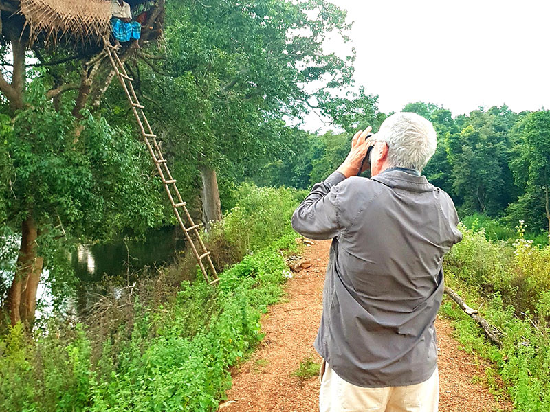 Village Tours in Sigiriya, Sigiriya and Habarana rural village walks, Village walks in Rural Villages, Village Tours in Sri Lanka, Walking tours in Sigiriya, Sigiriya Village Tours, Rural Village walking tours in Sigiriya and Habarana