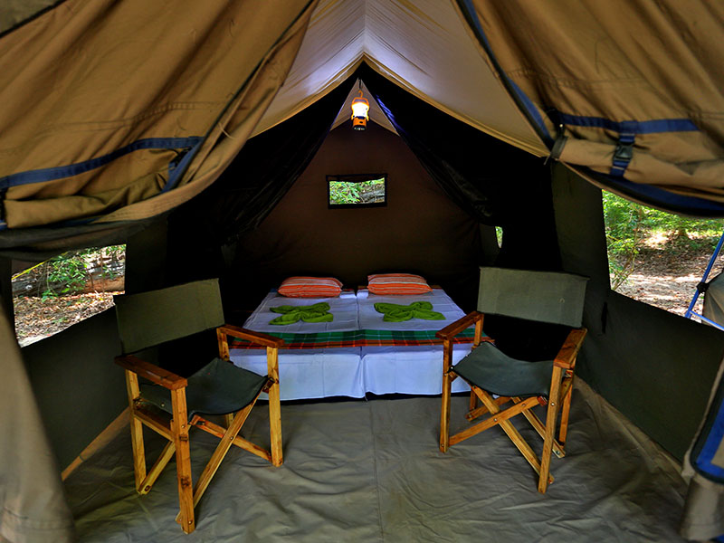 Camping Tours in Kumana, Tented Safari Camps in Kumana, Safari Camping in Kumana, Kumana Safari Camp, Kumana Safari Camping, Kumana Safari Camping Tours, Kumana Camping Safaris, Luxury Safari Camping Tours, Kumana Luxury Safari Camp, Kumana Camping