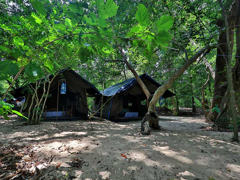 Camping Tours in Kumana, Tented Safari Camps in Kumana, Safari Camping in Kumana, Kumana Safari Camp, Kumana Safari Camping, Kumana Safari Camping Tours, Kumana Camping Safaris, Luxury Safari Camping Tours, Kumana Luxury Safari Camp, Kumana Camping