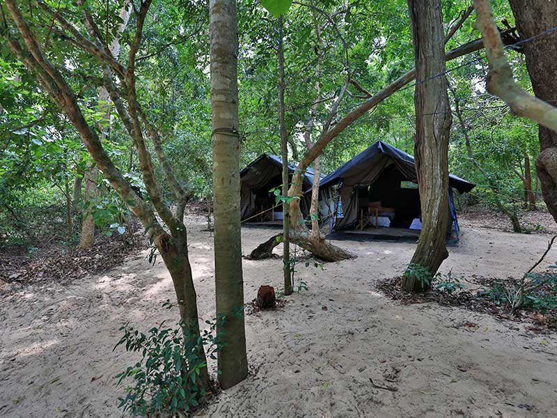 Camping Tours in Kumana, Tented Safari Camps in Kumana, Safari Camping in Kumana, Kumana Safari Camp, Kumana Safari Camping, Kumana Safari Camping Tours, Kumana Camping Safaris, Luxury Safari Camping Tours, Kumana Luxury Safari Camp, Kumana Camping