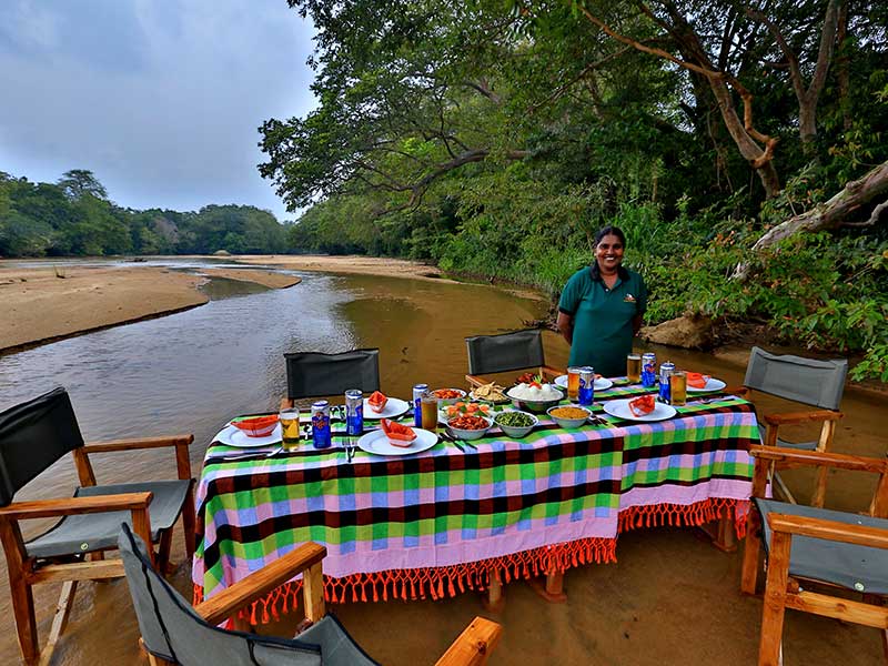 Camping Tours in Kumana, Tented Safari Camps in Kumana, Safari Camping in Kumana, Kumana Safari Camp, Kumana Safari Camping, Kumana Safari Camping Tours, Kumana Camping Safaris, Luxury Safari Camping Tours, Kumana Luxury Safari Camp, Kumana Camping
