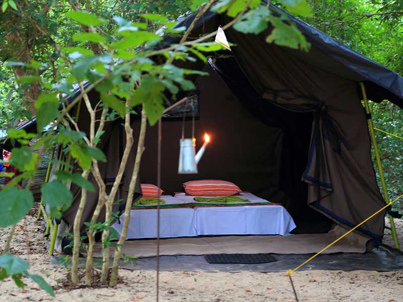 Camping Tours in Kumana, Tented Safari Camps in Kumana, Safari Camping in Kumana, Kumana Safari Camp, Kumana Safari Camping, Kumana Safari Camping Tours, Kumana Camping Safaris, Luxury Safari Camping Tours, Kumana Luxury Safari Camp, Kumana Camping