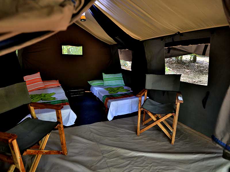 Camping Tours in Kumana, Tented Safari Camps in Kumana, Safari Camping in Kumana, Kumana Safari Camp, Kumana Safari Camping, Kumana Safari Camping Tours, Kumana Camping Safaris, Luxury Safari Camping Tours, Kumana Luxury Safari Camp, Kumana Camping
