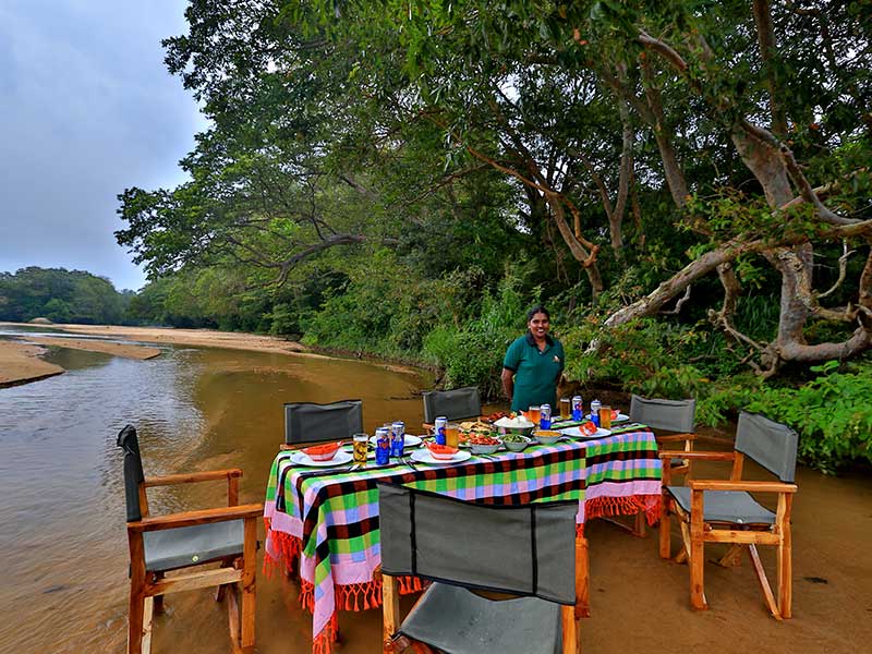 Camping Tours in Kumana, Tented Safari Camps in Kumana, Safari Camping in Kumana, Kumana Safari Camp, Kumana Safari Camping, Kumana Safari Camping Tours, Kumana Camping Safaris, Luxury Safari Camping Tours, Kumana Luxury Safari Camp, Kumana Camping