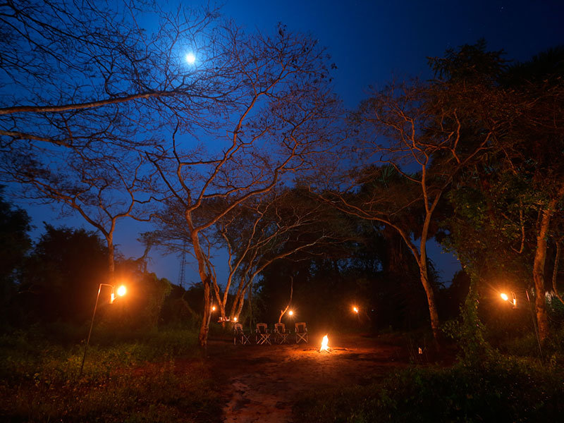 Tented Safari Camping in Sri Lanka - Tented Camping - Safari Camping - Safari camping in Yala - Udawalawe Safari camping - Safari camping in Kumana - Wilpattu Safari Camping
