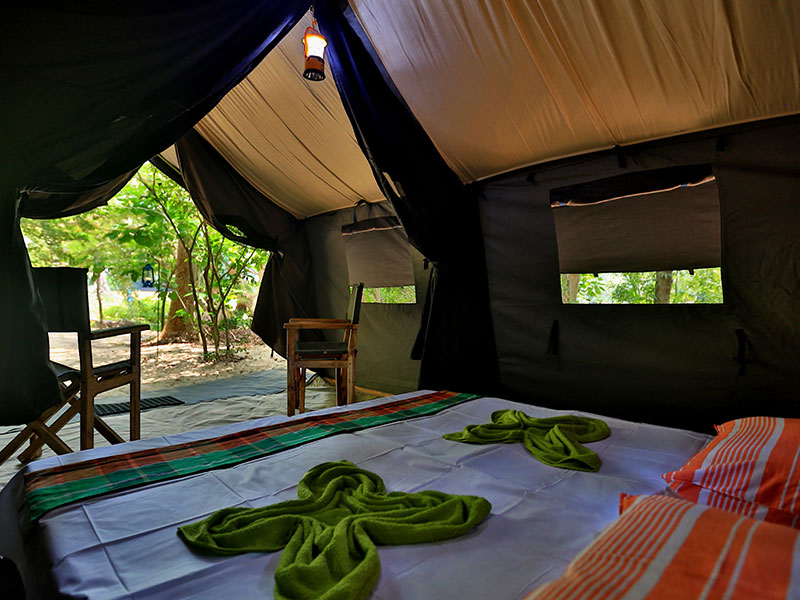 Tented Safari Camping in Sri Lanka - Tented Camping - Safari Camping - Safari camping in Yala - Udawalawe Safari camping - Safari camping in Kumana - Wilpattu Safari Camping