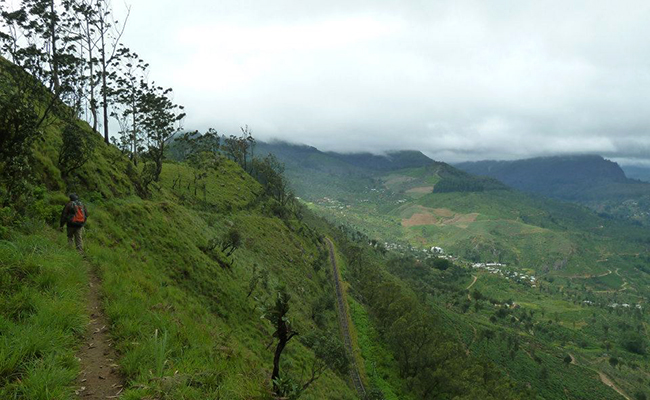 Trekking in Haputale - Tea Estate walking in Haputale - Tea Estate Bungalows & Villas in Haputale - Tea Estate Tours in Haputale - Tea Estate in Sri Lanka - Trekking trips in Sri Lanka - Sri Lanka Trekking & Hiking
