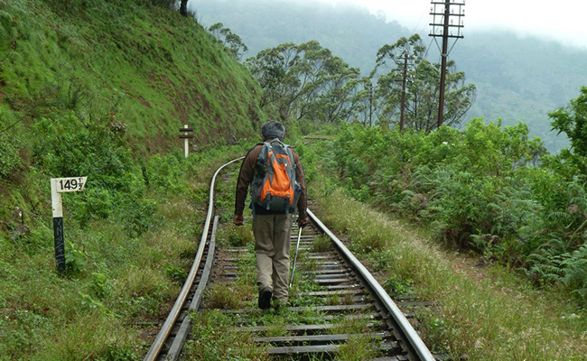 Trekking in Haputale - Tea Estate walking in Haputale - Tea Estate Bungalows & Villas in Haputale - Tea Estate Tours in Haputale - Tea Estate in Sri Lanka - Trekking trips in Sri Lanka - Sri Lanka Trekking & Hiking