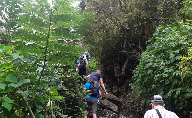 Trekking in Haputale - Tea Estate walking in Haputale - Tea Estate Bungalows & Villas in Haputale - Tea Estate Tours in Haputale - Tea Estate in Sri Lanka - Trekking trips in Sri Lanka - Sri Lanka Trekking & Hiking