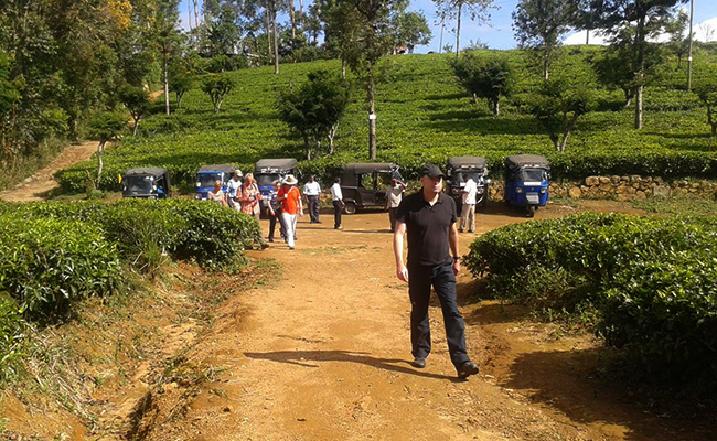 Trekking in Haputale - Tea Estate walking in Haputale - Tea Estate Bungalows & Villas in Haputale - Tea Estate Tours in Haputale - Tea Estate in Sri Lanka - Trekking trips in Sri Lanka - Sri Lanka Trekking & Hiking
