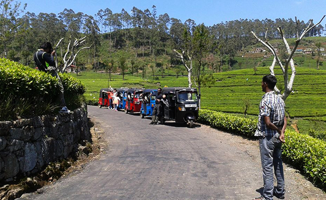 Trekking in Haputale - Tea Estate walking in Haputale - Tea Estate Bungalows & Villas in Haputale - Tea Estate Tours in Haputale - Tea Estate in Sri Lanka - Trekking trips in Sri Lanka - Sri Lanka Trekking & Hiking