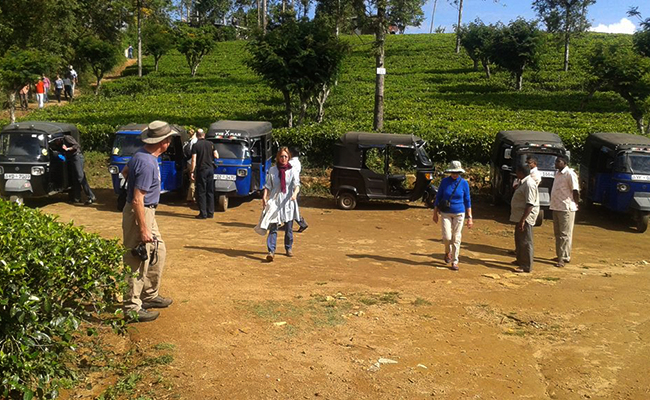 Trekking in Haputale - Tea Estate walking in Haputale - Tea Estate Bungalows & Villas in Haputale - Tea Estate Tours in Haputale - Tea Estate in Sri Lanka - Trekking trips in Sri Lanka - Sri Lanka Trekking & Hiking
