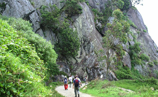 Trekking in Haputale - Tea Estate walking in Haputale - Tea Estate Bungalows & Villas in Haputale - Tea Estate Tours in Haputale - Tea Estate in Sri Lanka - Trekking trips in Sri Lanka - Sri Lanka Trekking & Hiking