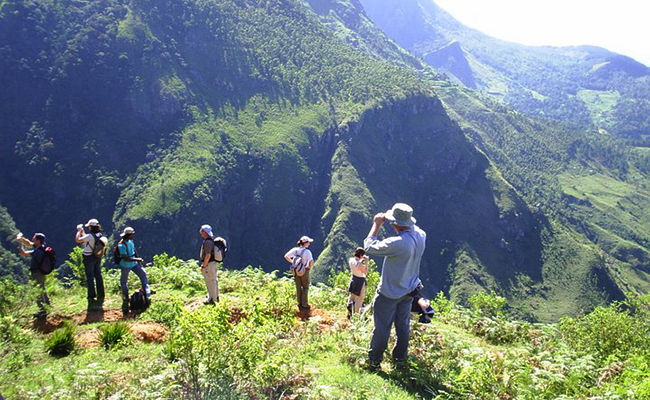 Trekking in Haputale - Tea Estate walking in Haputale - Tea Estate Bungalows & Villas in Haputale - Tea Estate Tours in Haputale - Tea Estate in Sri Lanka - Trekking trips in Sri Lanka - Sri Lanka Trekking & Hiking
