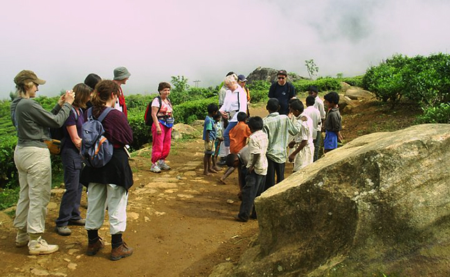 Trekking in Haputale - Tea Estate walking in Haputale - Tea Estate Bungalows & Villas in Haputale - Tea Estate Tours in Haputale - Tea Estate in Sri Lanka - Trekking trips in Sri Lanka - Sri Lanka Trekking & Hiking