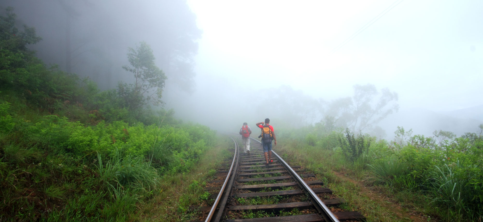 cenic Trekking and Hiking Tours in Horton Plains and Bambarakanda Waterfall - Horton Plains trekking tours - bambarakanda waterfall trekking tours - Bambarakanda Waterfall and Horton Plains Trekking - trekking tours in sri lanka - Horton Plains Ohiya and Bambarakanda Waterfall Trekking Trip in Sri Lanka - sri lanka trekking & hiking trips