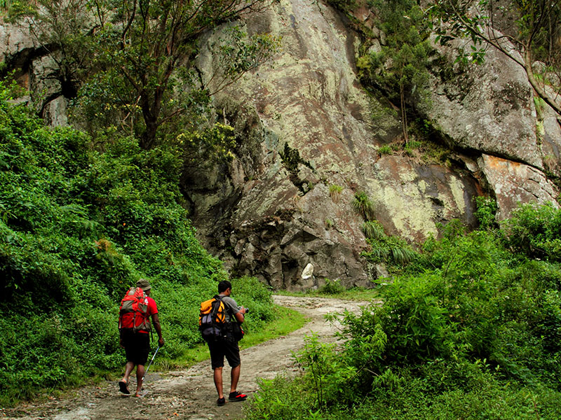 cenic Trekking and Hiking Tours in Horton Plains and Bambarakanda Waterfall - Horton Plains trekking tours - bambarakanda waterfall trekking tours - Bambarakanda Waterfall and Horton Plains Trekking - trekking tours in sri lanka - Horton Plains Ohiya and Bambarakanda Waterfall Trekking Trip in Sri Lanka - sri lanka trekking & hiking trips