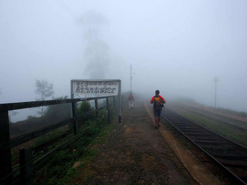 cenic Trekking and Hiking Tours in Horton Plains and Bambarakanda Waterfall - Horton Plains trekking tours - bambarakanda waterfall trekking tours - Bambarakanda Waterfall and Horton Plains Trekking - trekking tours in sri lanka - Horton Plains Ohiya and Bambarakanda Waterfall Trekking Trip in Sri Lanka - sri lanka trekking & hiking trips