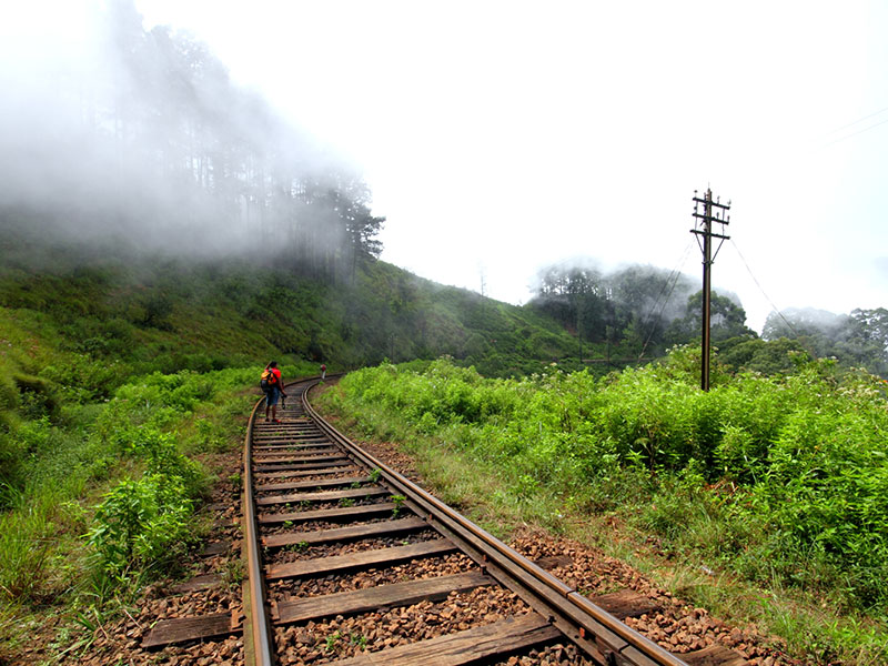 cenic Trekking and Hiking Tours in Horton Plains and Bambarakanda Waterfall - Horton Plains trekking tours - bambarakanda waterfall trekking tours - Bambarakanda Waterfall and Horton Plains Trekking - trekking tours in sri lanka - Horton Plains Ohiya and Bambarakanda Waterfall Trekking Trip in Sri Lanka - sri lanka trekking & hiking trips
