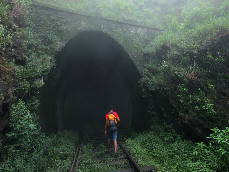 cenic Trekking and Hiking Tours in Horton Plains and Bambarakanda Waterfall - Horton Plains trekking tours - bambarakanda waterfall trekking tours - Bambarakanda Waterfall and Horton Plains Trekking - trekking tours in sri lanka - Horton Plains Ohiya and Bambarakanda Waterfall Trekking Trip in Sri Lanka - sri lanka trekking & hiking trips