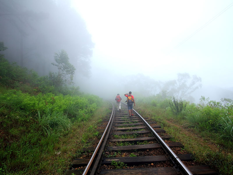 cenic Trekking and Hiking Tours in Horton Plains and Bambarakanda Waterfall - Horton Plains trekking tours - bambarakanda waterfall trekking tours - Bambarakanda Waterfall and Horton Plains Trekking - trekking tours in sri lanka - Horton Plains Ohiya and Bambarakanda Waterfall Trekking Trip in Sri Lanka - sri lanka trekking & hiking trips