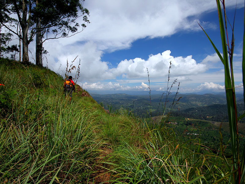 cenic Trekking and Hiking Tours in Horton Plains and Bambarakanda Waterfall - Horton Plains trekking tours - bambarakanda waterfall trekking tours - Bambarakanda Waterfall and Horton Plains Trekking - trekking tours in sri lanka - Horton Plains Ohiya and Bambarakanda Waterfall Trekking Trip in Sri Lanka - sri lanka trekking & hiking trips