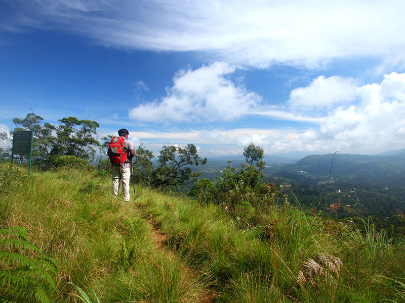 cenic Trekking and Hiking Tours in Horton Plains and Bambarakanda Waterfall - Horton Plains trekking tours - bambarakanda waterfall trekking tours - Bambarakanda Waterfall and Horton Plains Trekking - trekking tours in sri lanka - Horton Plains Ohiya and Bambarakanda Waterfall Trekking Trip in Sri Lanka - sri lanka trekking & hiking trips