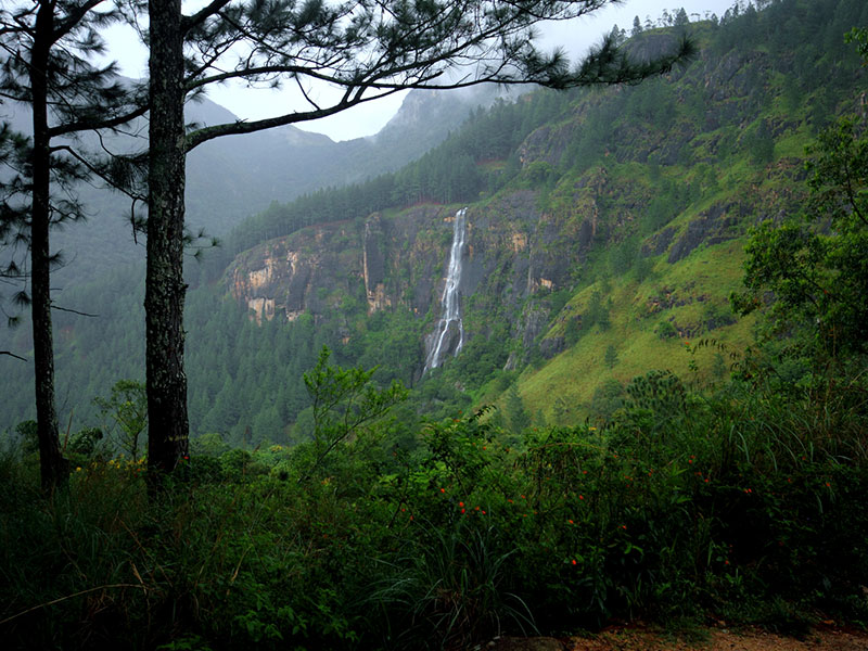 cenic Trekking and Hiking Tours in Horton Plains and Bambarakanda Waterfall - Horton Plains trekking tours - bambarakanda waterfall trekking tours - Bambarakanda Waterfall and Horton Plains Trekking - trekking tours in sri lanka - Horton Plains Ohiya and Bambarakanda Waterfall Trekking Trip in Sri Lanka - sri lanka trekking & hiking trips