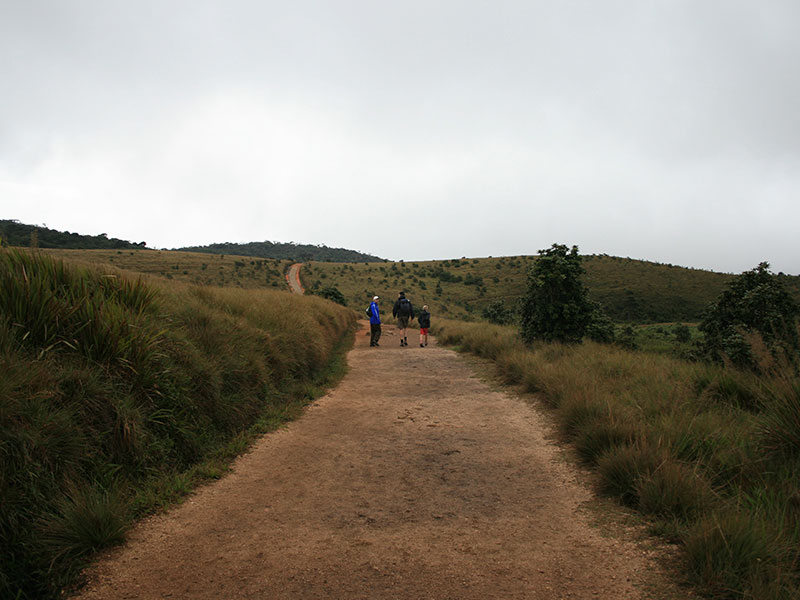 cenic Trekking and Hiking Tours in Horton Plains and Bambarakanda Waterfall - Horton Plains trekking tours - bambarakanda waterfall trekking tours - Bambarakanda Waterfall and Horton Plains Trekking - trekking tours in sri lanka - Horton Plains Ohiya and Bambarakanda Waterfall Trekking Trip in Sri Lanka - sri lanka trekking & hiking trips