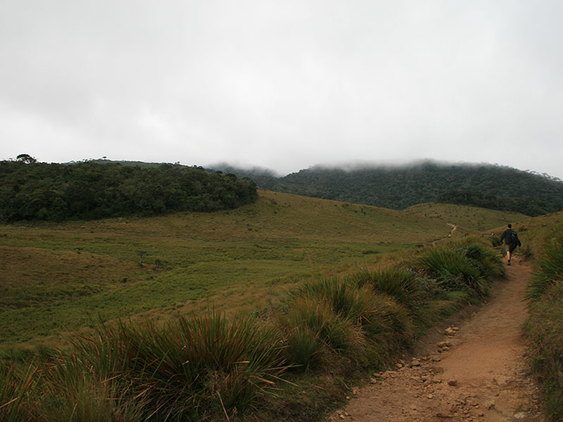cenic Trekking and Hiking Tours in Horton Plains and Bambarakanda Waterfall - Horton Plains trekking tours - bambarakanda waterfall trekking tours - Bambarakanda Waterfall and Horton Plains Trekking - trekking tours in sri lanka - Horton Plains Ohiya and Bambarakanda Waterfall Trekking Trip in Sri Lanka - sri lanka trekking & hiking trips