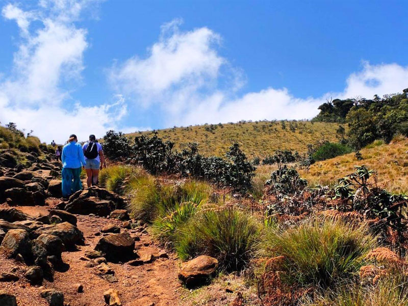 cenic Trekking and Hiking Tours in Horton Plains and Bambarakanda Waterfall - Horton Plains trekking tours - bambarakanda waterfall trekking tours - Bambarakanda Waterfall and Horton Plains Trekking - trekking tours in sri lanka - Horton Plains Ohiya and Bambarakanda Waterfall Trekking Trip in Sri Lanka - sri lanka trekking & hiking trips