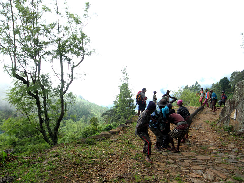 cenic Trekking and Hiking Tours in Horton Plains and Bambarakanda Waterfall - Horton Plains trekking tours - bambarakanda waterfall trekking tours - Bambarakanda Waterfall and Horton Plains Trekking - trekking tours in sri lanka - Horton Plains Ohiya and Bambarakanda Waterfall Trekking Trip in Sri Lanka - sri lanka trekking & hiking trips