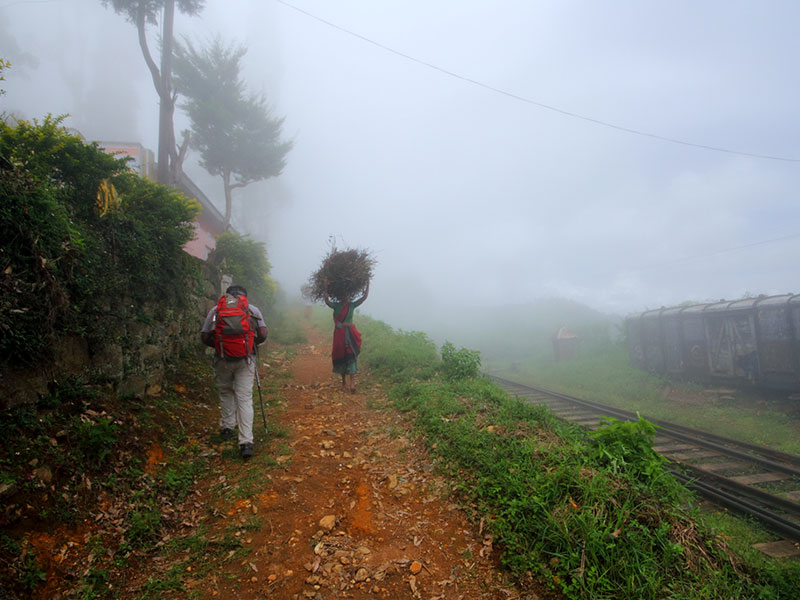 cenic Trekking and Hiking Tours in Horton Plains and Bambarakanda Waterfall - Horton Plains trekking tours - bambarakanda waterfall trekking tours - Bambarakanda Waterfall and Horton Plains Trekking - trekking tours in sri lanka - Horton Plains Ohiya and Bambarakanda Waterfall Trekking Trip in Sri Lanka - sri lanka trekking & hiking trips