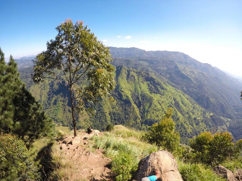 Trekking Tours in Ella - Ella Trekking - Ella Rock - Adventure Activities in Ella - Ella Adventures - Ella Trek - Ella Tours - Ella Trekking Tours - Trekking in Ella - Ella adventure Tours - Ella Rock - Visit Ella Rock