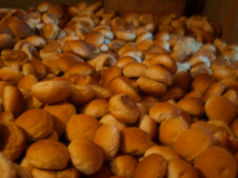 Village Bakery Experience - Bakery visit in Sri Lanka - Sri Lanka village bakery visit