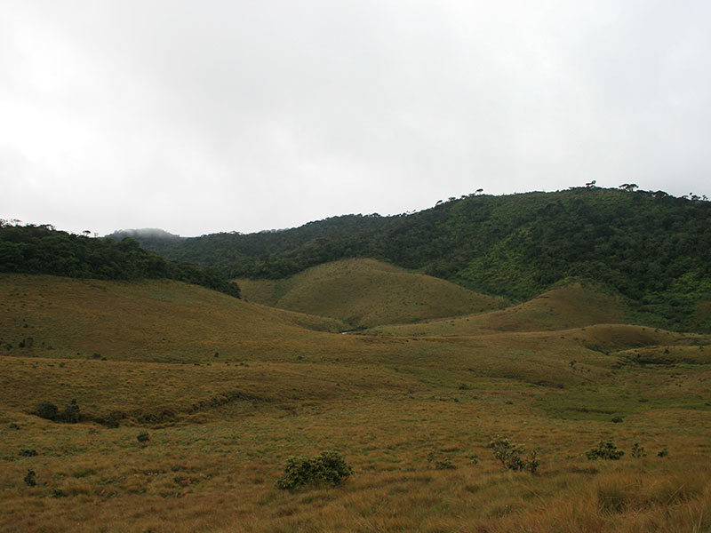 Trekking Tours in Sri Lanka - Walk from Nuwara Eliya to Ella - Ella Trekking tours - Trekking to Ella - Walking Trips in Sri Lanka - Nuwara Eliya Trekking Trips