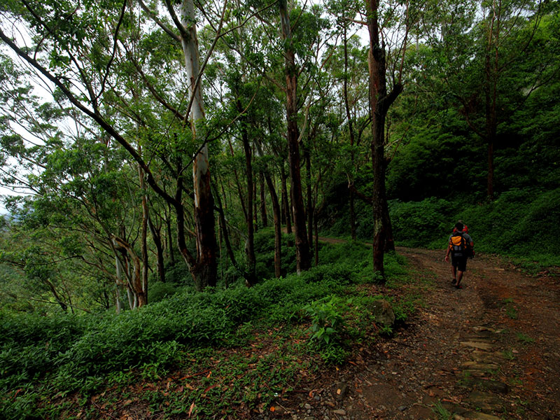 Trekking Tours in Sri Lanka - Walk from Nuwara Eliya to Ella - Ella Trekking tours - Trekking to Ella - Walking Trips in Sri Lanka - Nuwara Eliya Trekking Trips