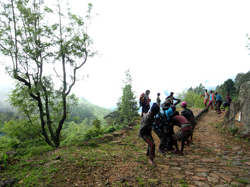 Trekking Tours in Sri Lanka - Walk from Nuwara Eliya to Ella - Ella Trekking tours - Trekking to Ella - Walking Trips in Sri Lanka - Nuwara Eliya Trekking Trips