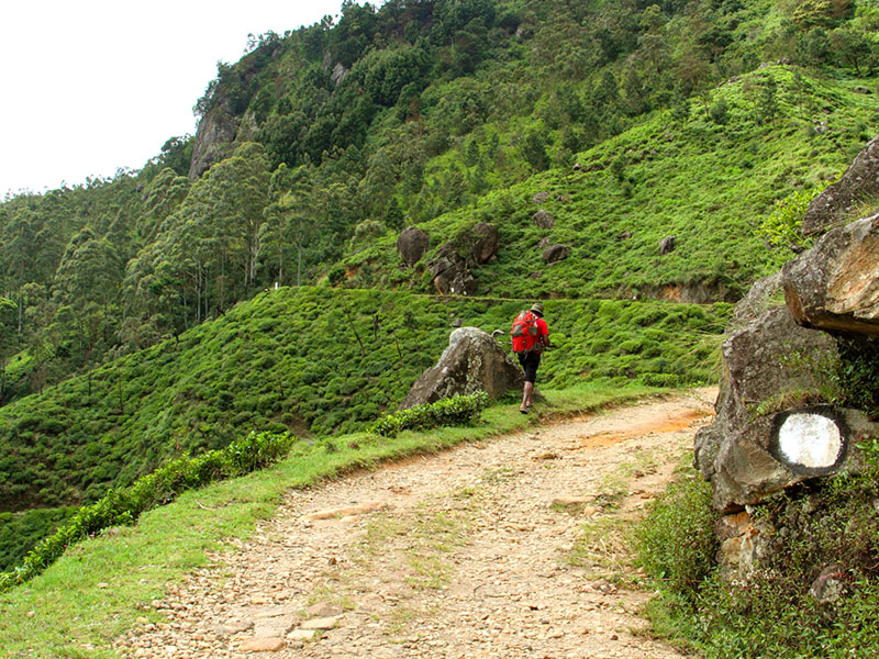 Trekking Tours in Sri Lanka - Walk from Nuwara Eliya to Ella - Ella Trekking tours - Trekking to Ella - Walking Trips in Sri Lanka - Nuwara Eliya Trekking Trips