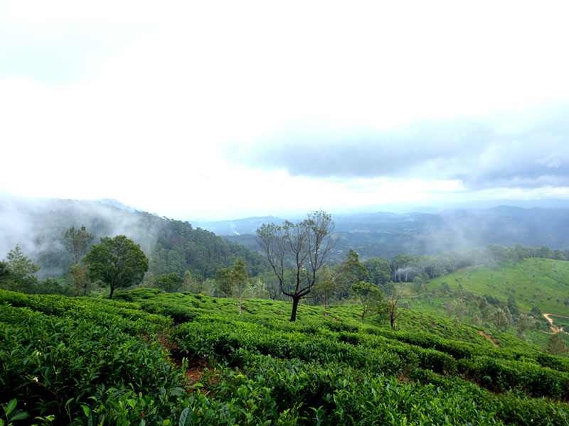 Trekking Tours in Sri Lanka - Walk from Nuwara Eliya to Ella - Ella Trekking tours - Trekking to Ella - Walking Trips in Sri Lanka - Nuwara Eliya Trekking Trips