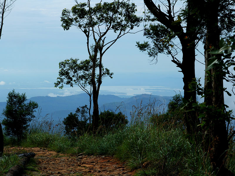 Trekking Tours in Sri Lanka - Walk from Nuwara Eliya to Ella - Ella Trekking tours - Trekking to Ella - Walking Trips in Sri Lanka - Nuwara Eliya Trekking Trips